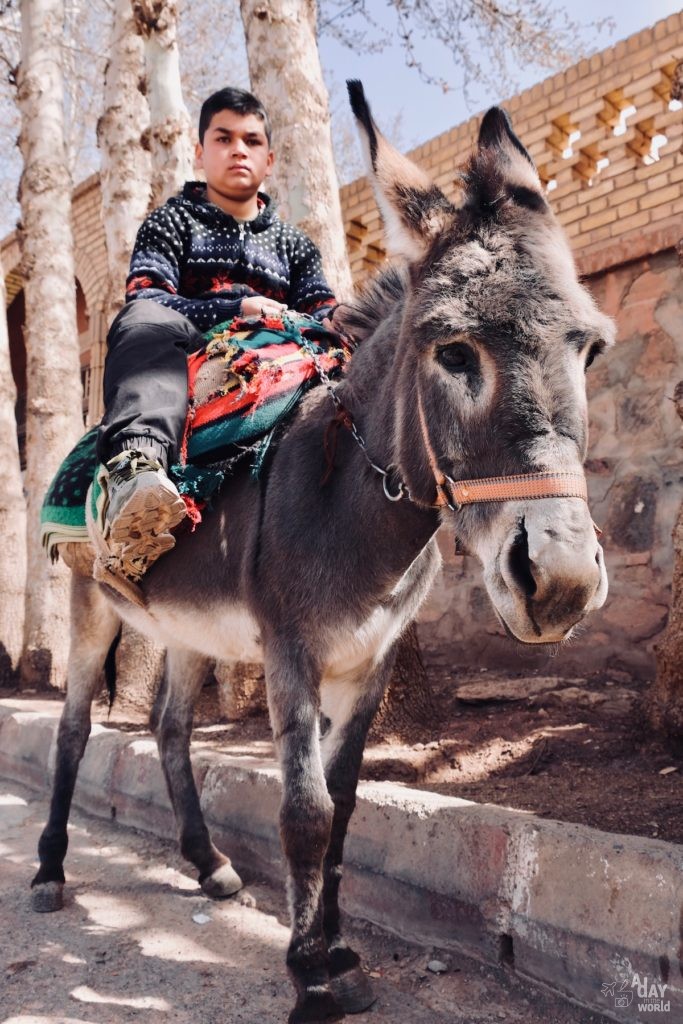 ane-iran-abyaneh