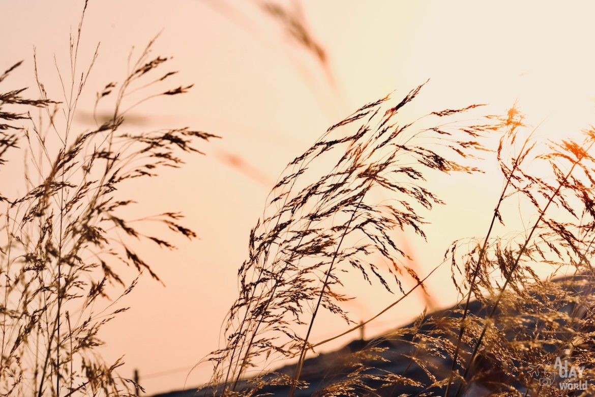 coucher-soleil-aigues-mortes