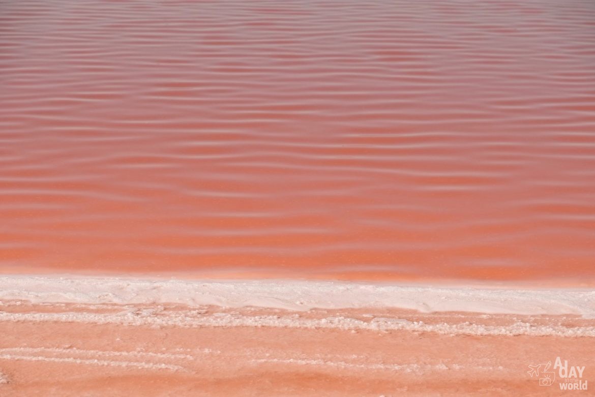 salins-aigues-mortes-couleur