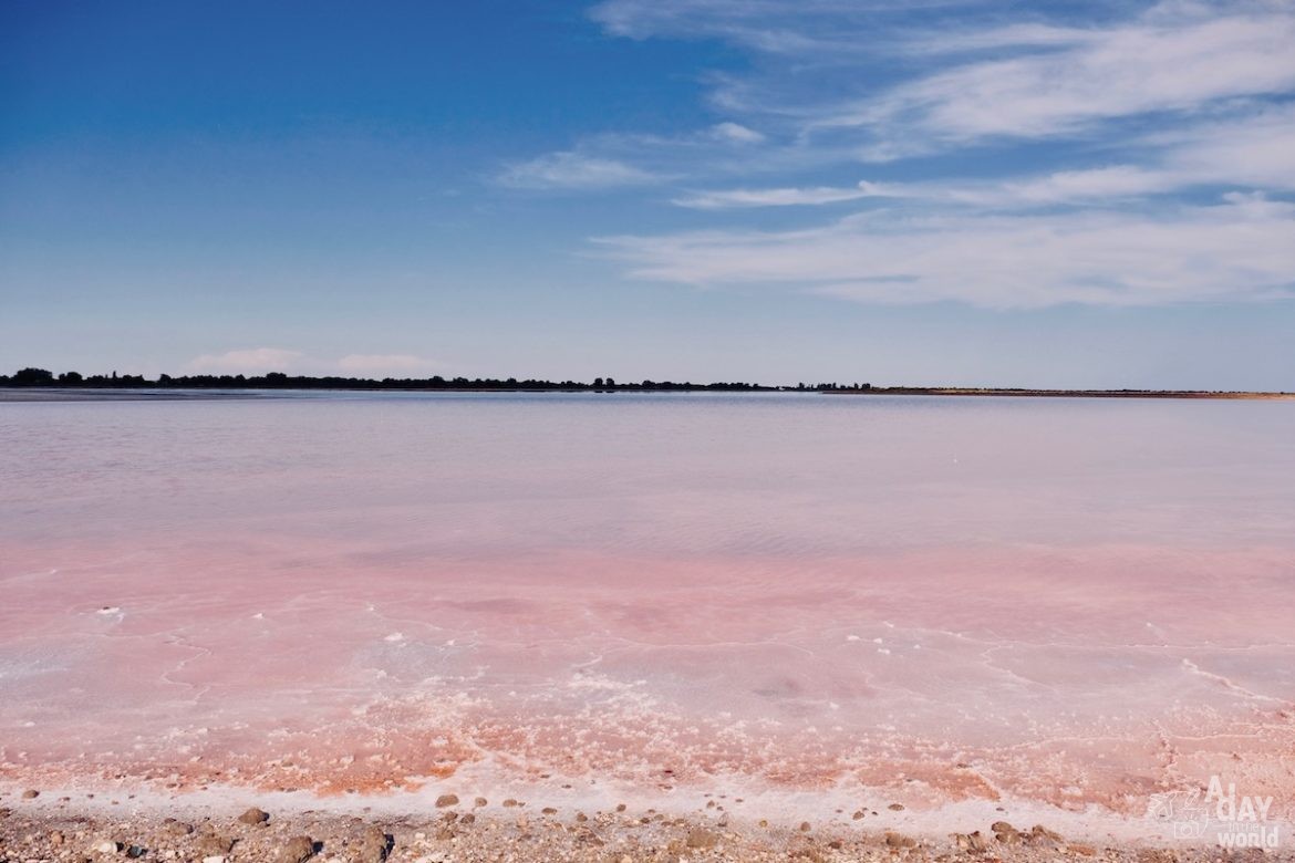 salins-aigues-mortes-visite