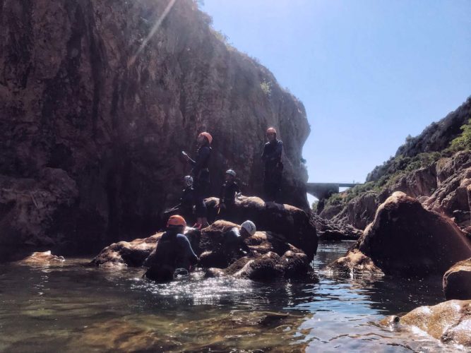 office-moniteurs-languedoc