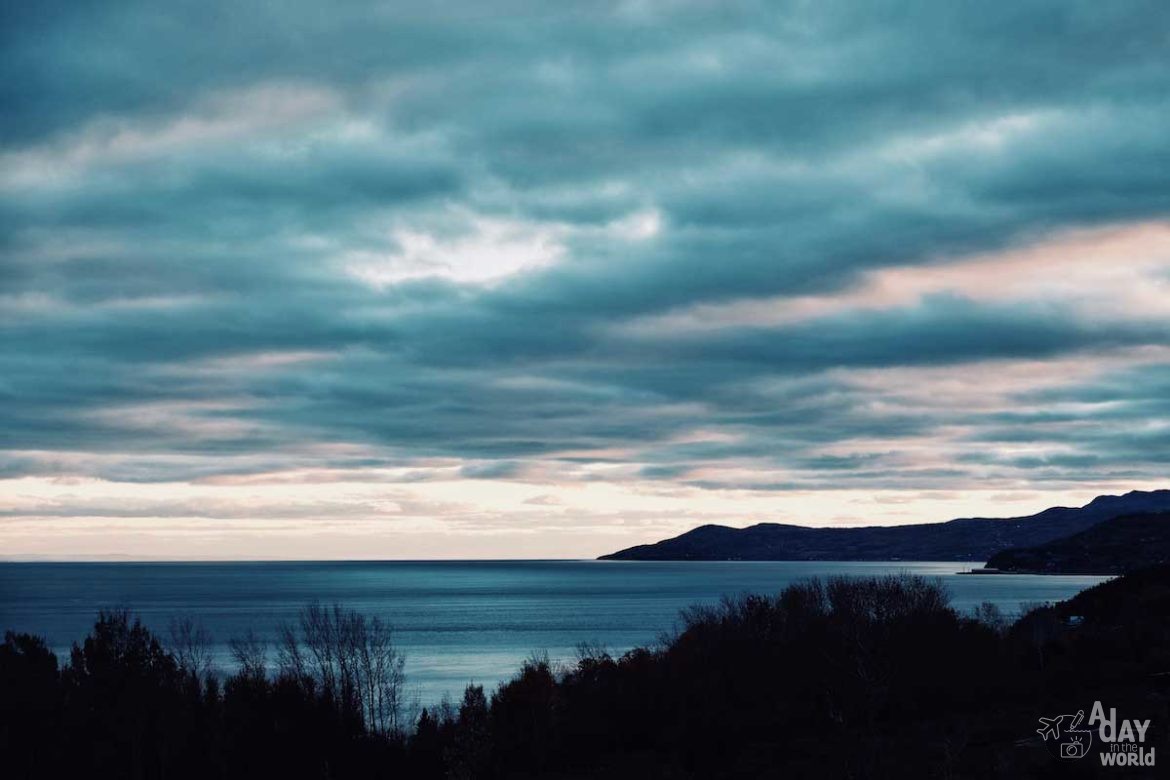 baleine-tadoussac-escoumins-9