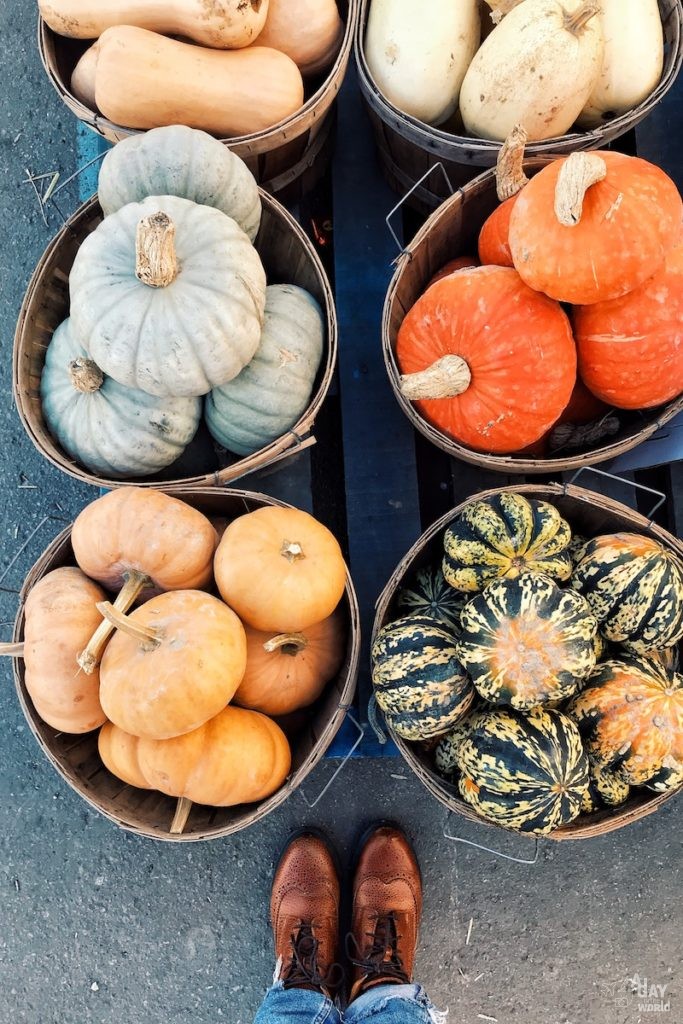 marche-jean-talon-montreal-2