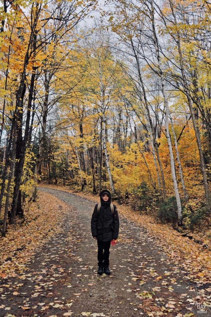 parc-national-de-la-mauricie-3