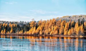 Itinéraire : 10 jours de road trip au Québec en automne