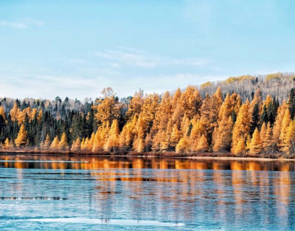 Itinéraire : 10 jours de road trip au Québec en automne